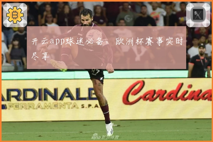 开云app球迷必备，欧洲杯赛事实时尽享