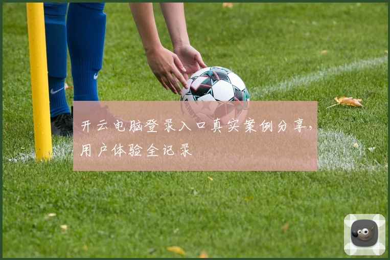 开云电脑登录入口真实案例分享，用户体验全记录
