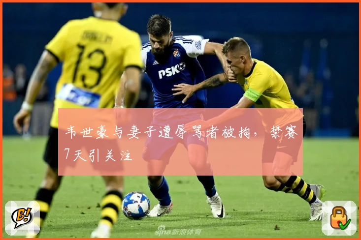 韦世豪与妻子遭辱骂者被拘，禁赛7天引关注