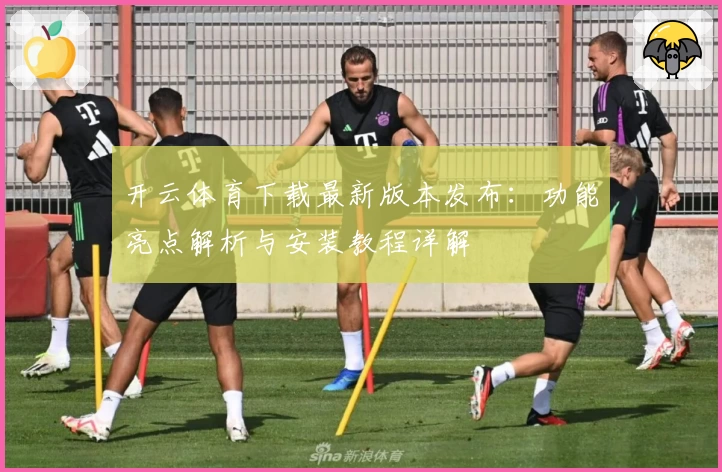 开云体育下载最新版本发布：功能亮点解析与安装教程详解